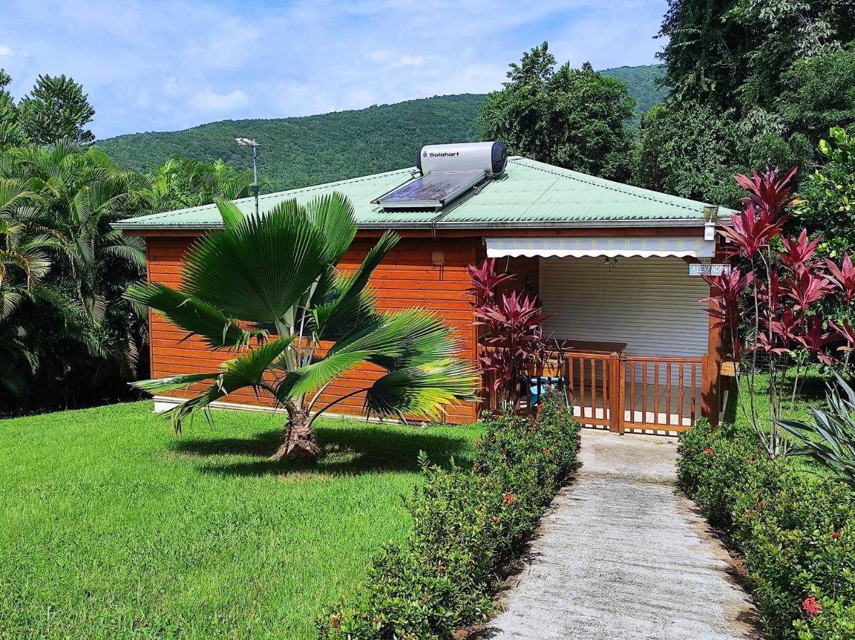 Le Tri Haut De Bellevue - Bungalow Colibri Πουάντ-Νουάρ Εξωτερικό φωτογραφία